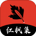 高清乱码在线看APP应用